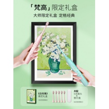 支持HUAWEI HiLink电动牙刷情侣套装学生党男女全自动成人充电式